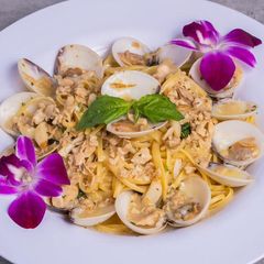 Linguini with clams at Sami's on Marco Island